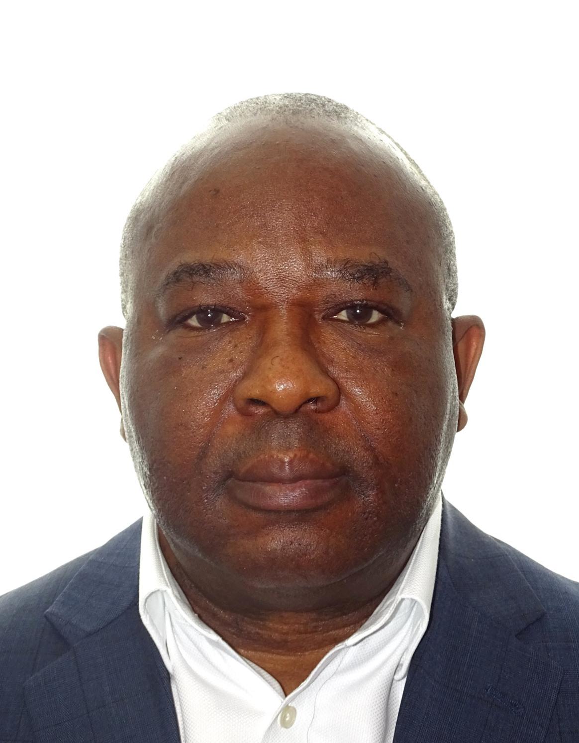 Dr Obafemi Odesanya - Founder and Executive Director of MindBridge